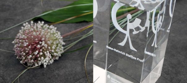 Sparkassenstiftung lobt Hans Heinrich Stelljes-Preis aus