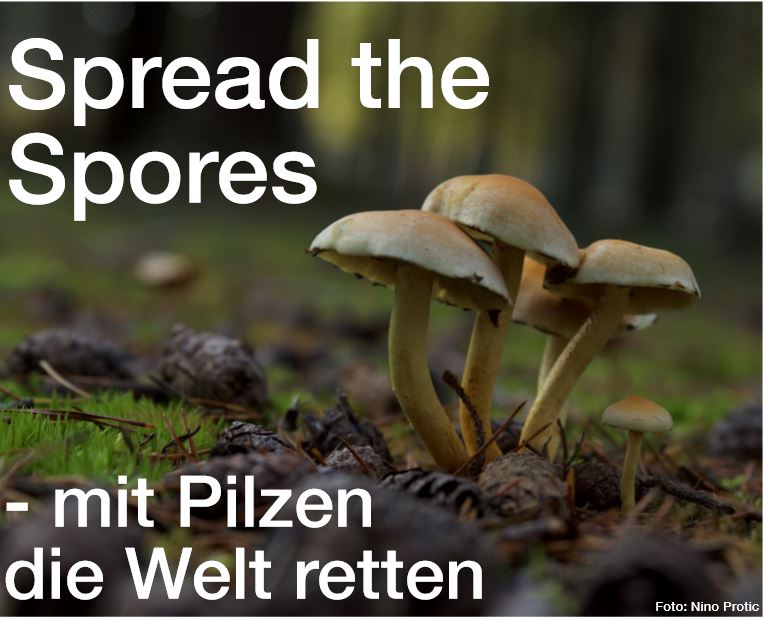 Spread the Spores – mit Pilzen die Welt retten