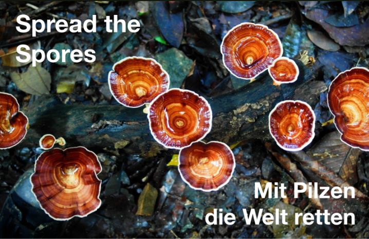 Mit Pilzen die Welt retten – 1. Lüneburger Pilztage
